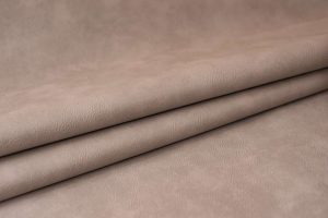 Sintético: Albany - Nuvem